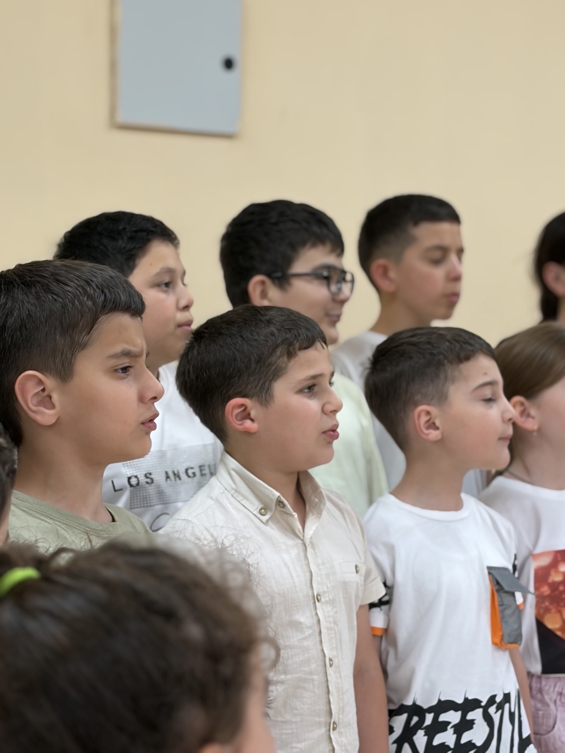 ანსამბლი შოდა, ფოტო 21