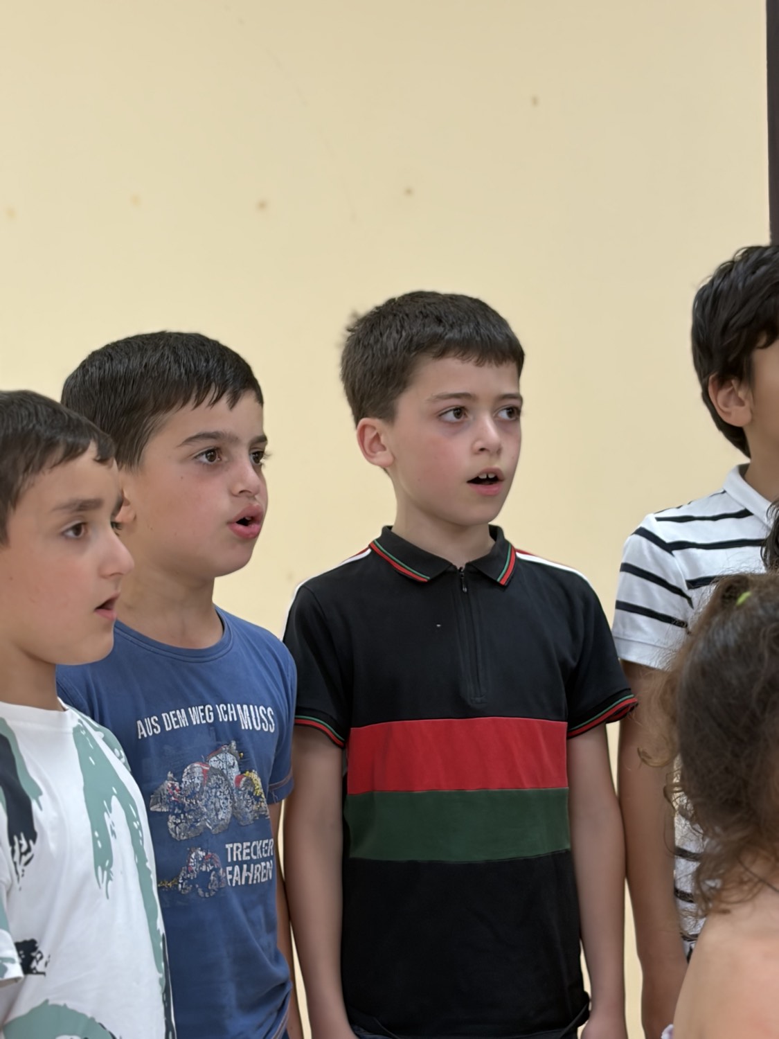 ანსამბლი შოდა, ფოტო 22