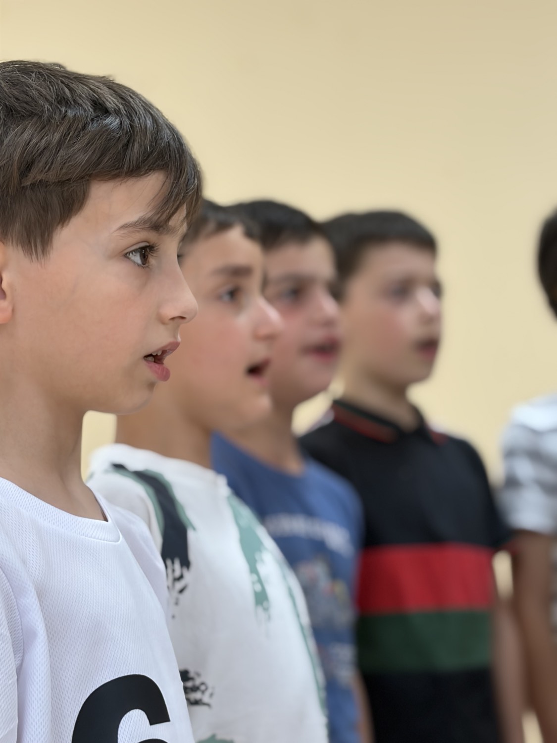ანსამბლი შოდა, ფოტო 26